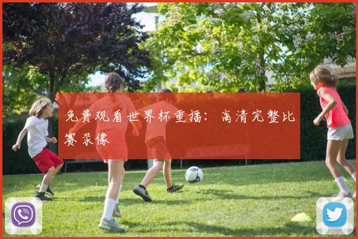 免费观看世界杯重播：高清完整比赛录像